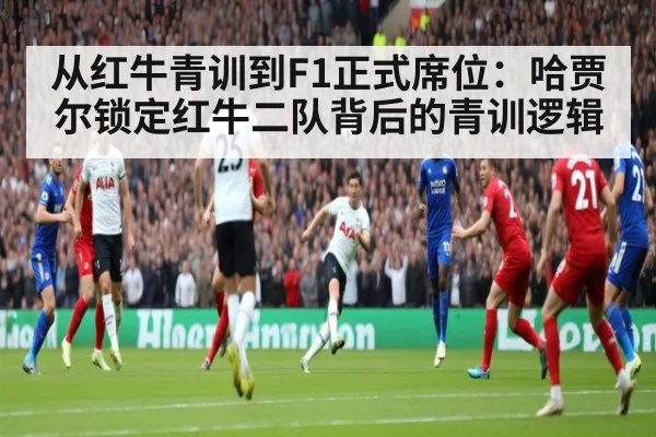 从红牛青训到F1正式席位：哈贾尔锁定红牛二队背后的青训逻辑